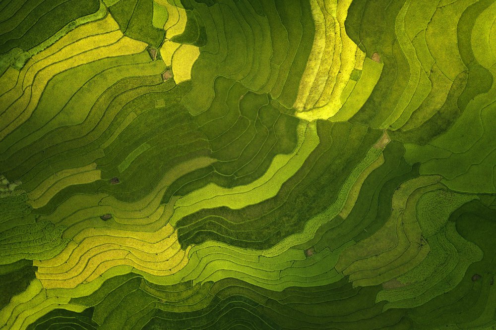 Photograph by kittikun pleumveerajit