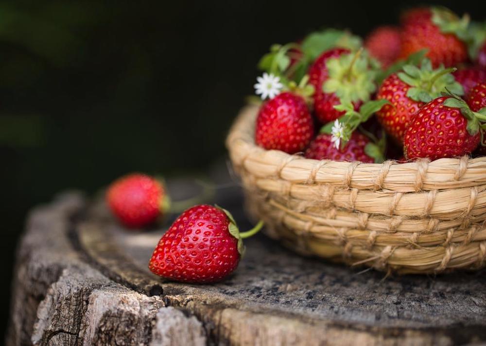 Photograph by Екатерина Фокина