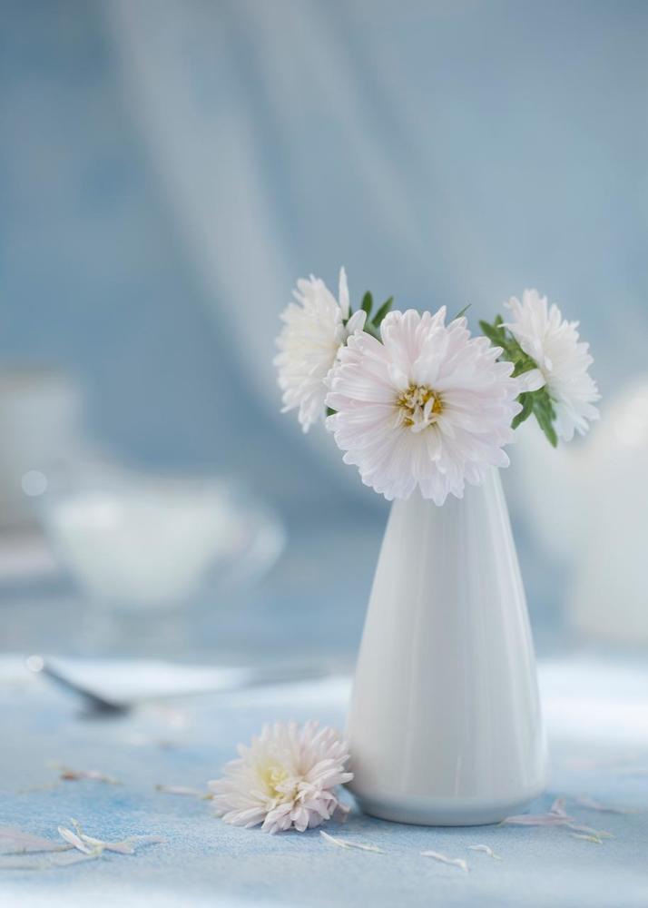 Photograph by Екатерина Фокина