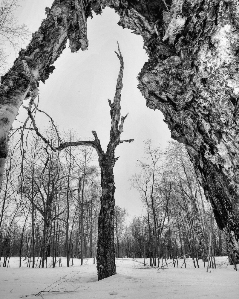 Photograph by Андрей Тюликов