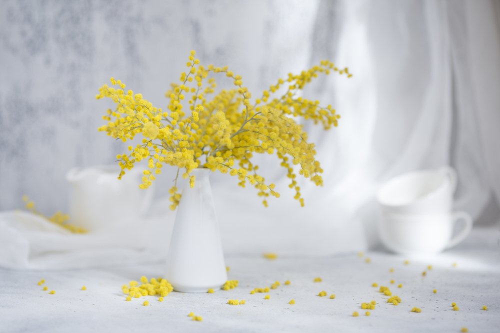 Photograph by Екатерина Фокина