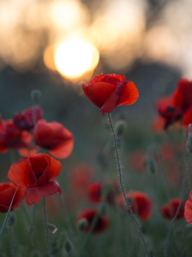 Photograph by Екатерина Фокина