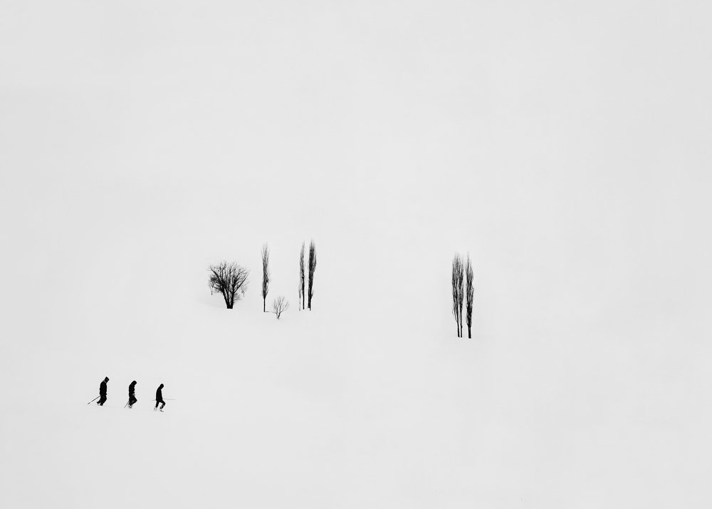 Фотография автора Alipour mohammad