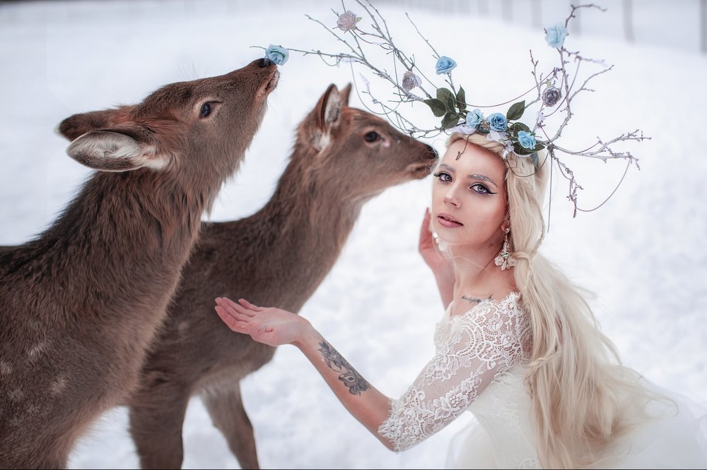 Photograph by Вилена Романова