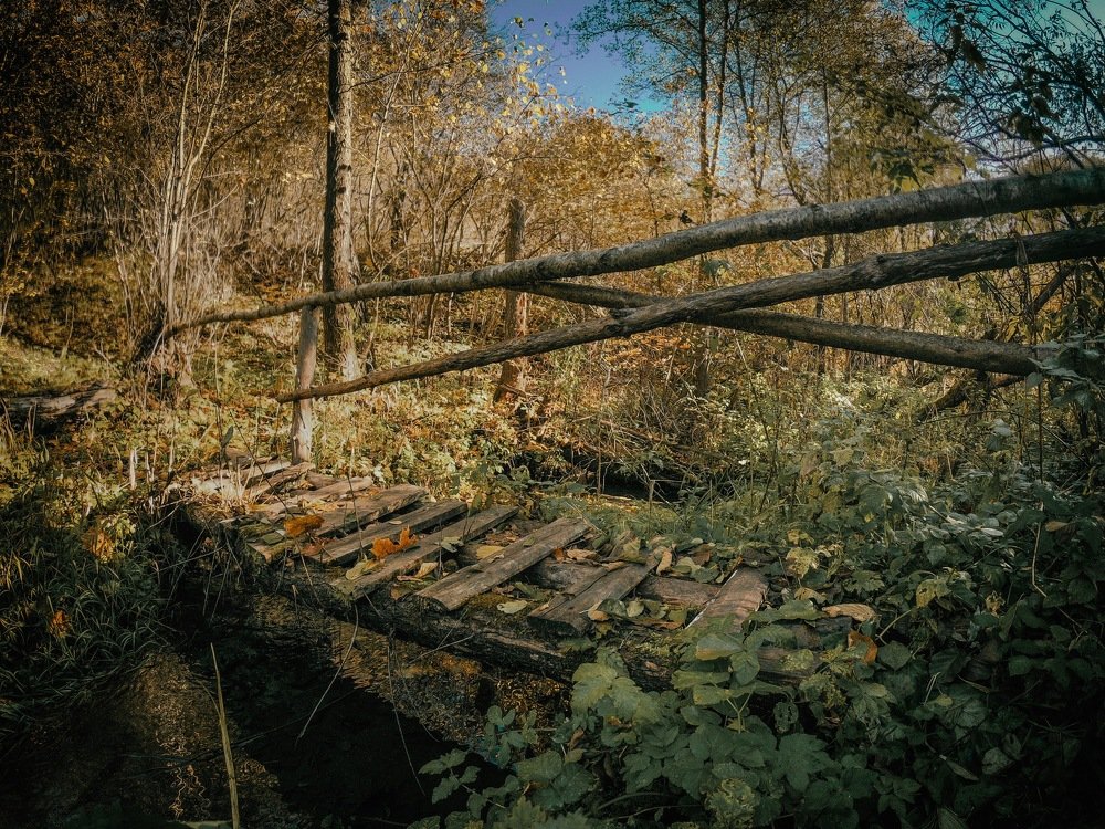 Photograph by Дубинин Сергей