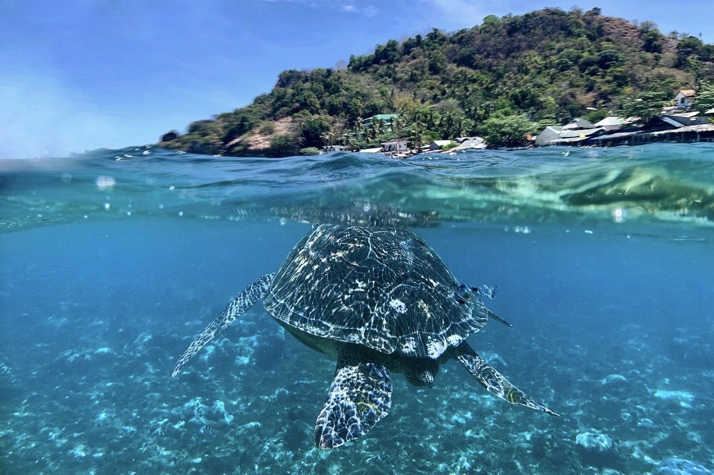 Photograph by Henry Hu