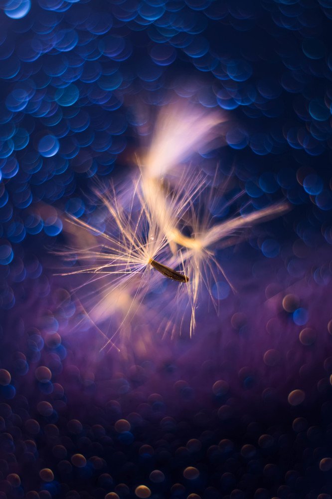 Photograph by Наталия Табоякова