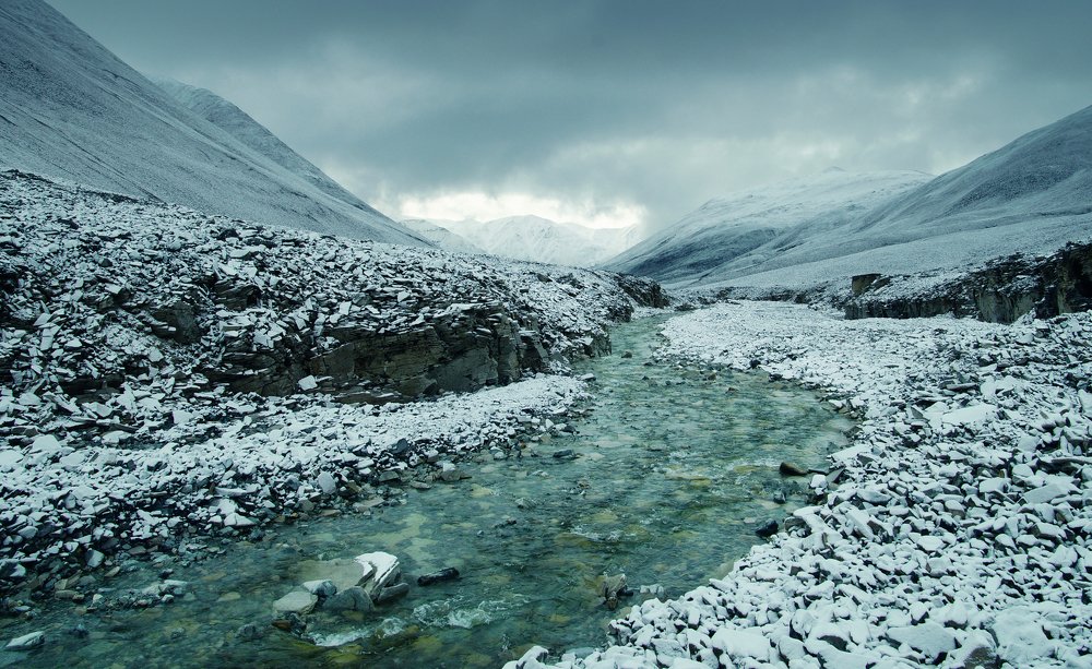 Photograph by Ирина Щеглова