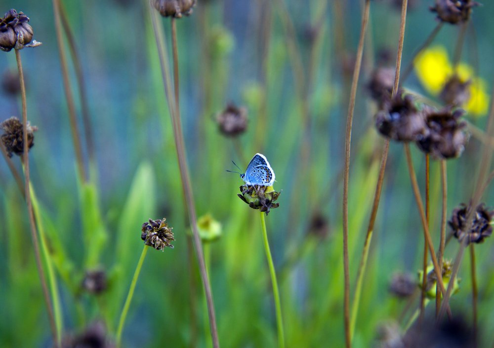 Photograph by Борис Останков