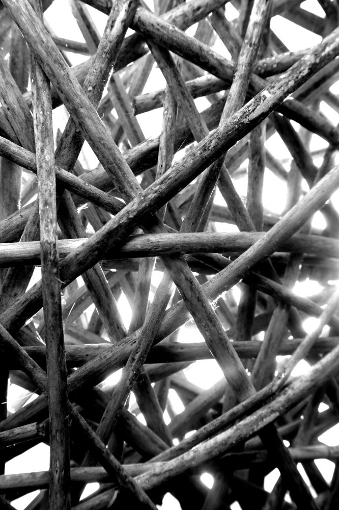 Photograph by Марина Шамич