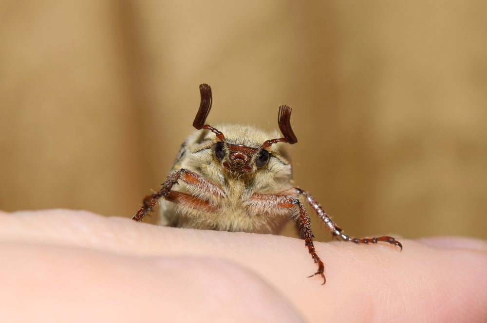 Photograph by Дарья Меркулова