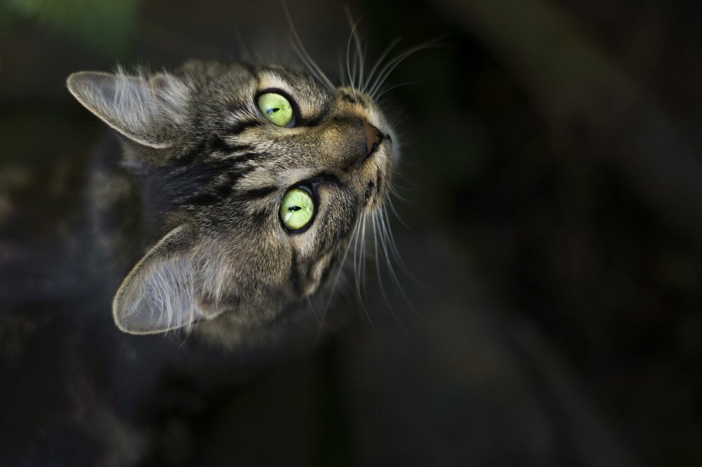 Photograph by Олеся Колитченко