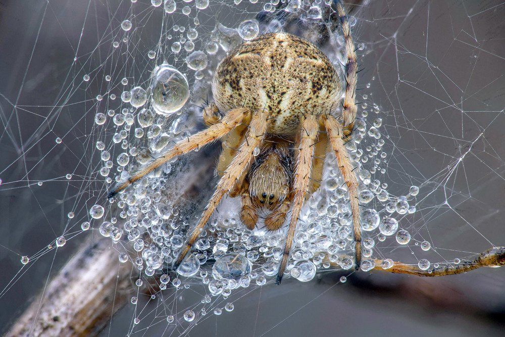 Photograph by Сергей Рубан