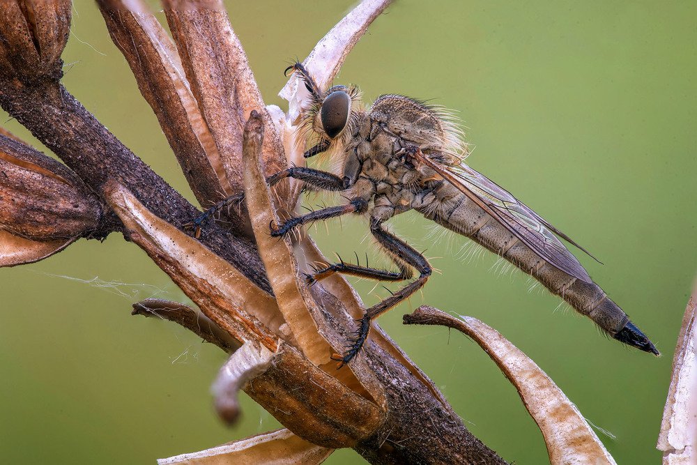 Photograph by Сергей Рубан