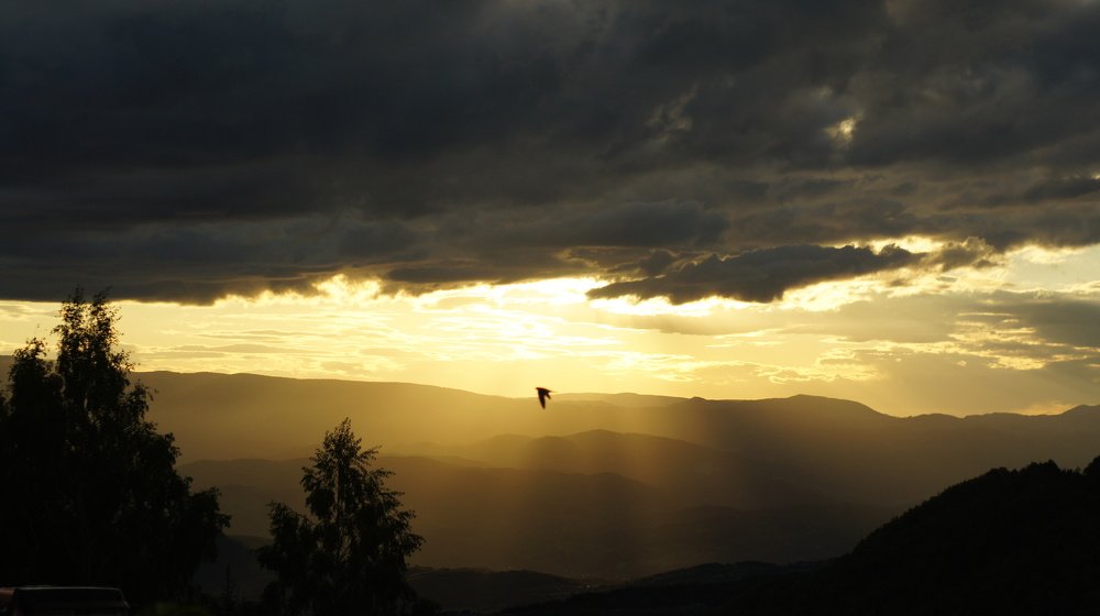 Photograph by Miljana Dobricinac