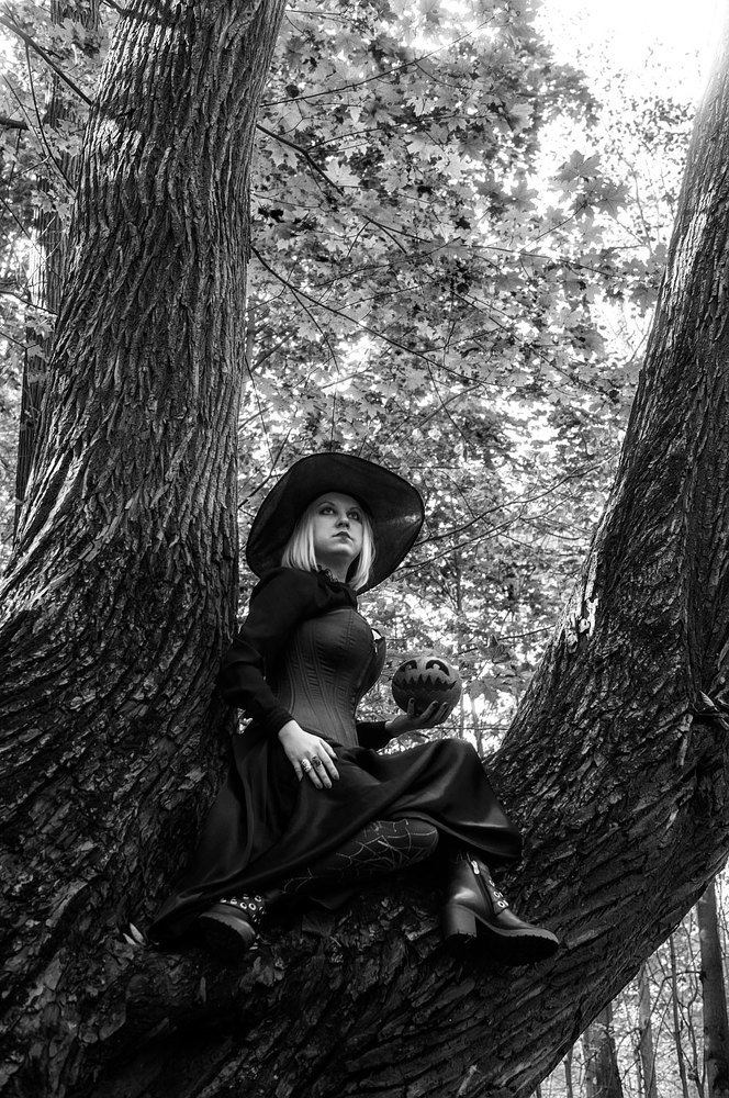 Фотография автора Николай Нестеренко