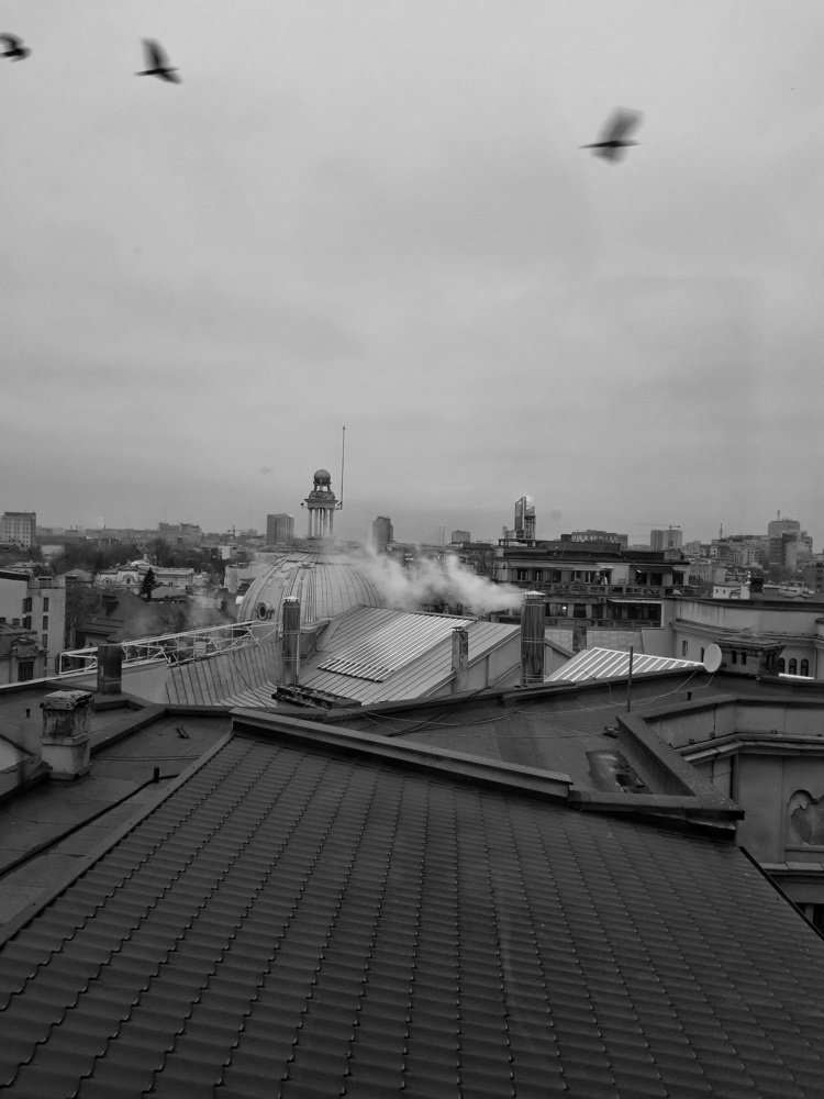 Photo #4339436