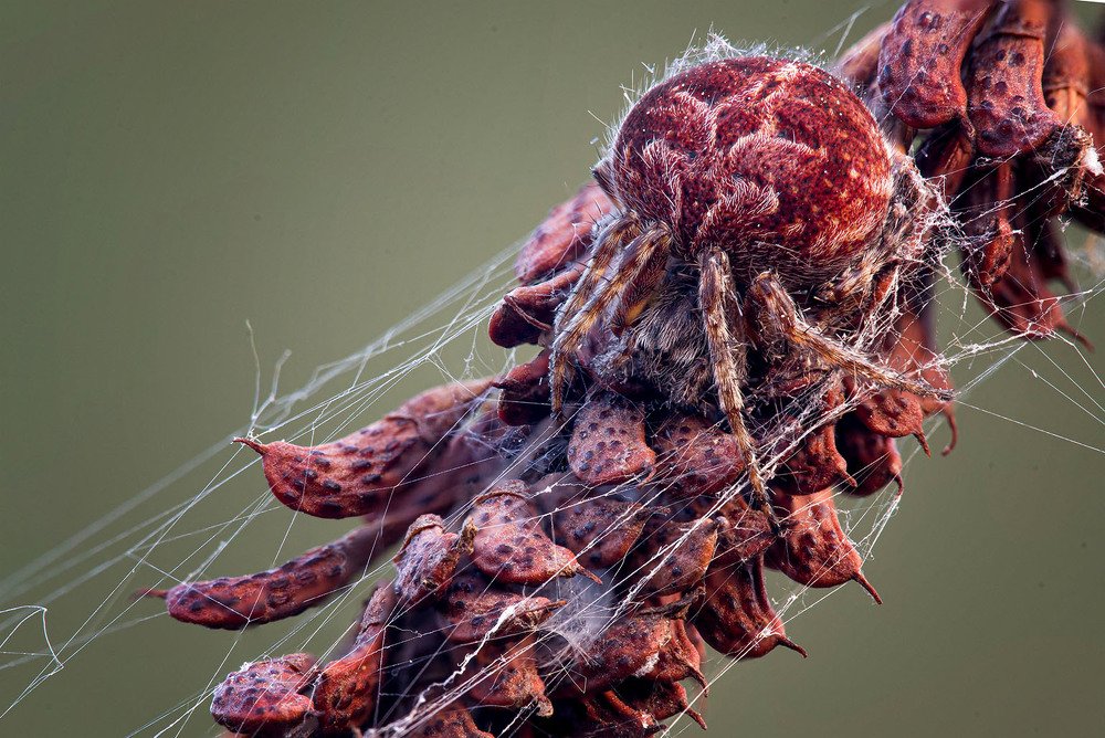 Photograph by Сергей Рубан