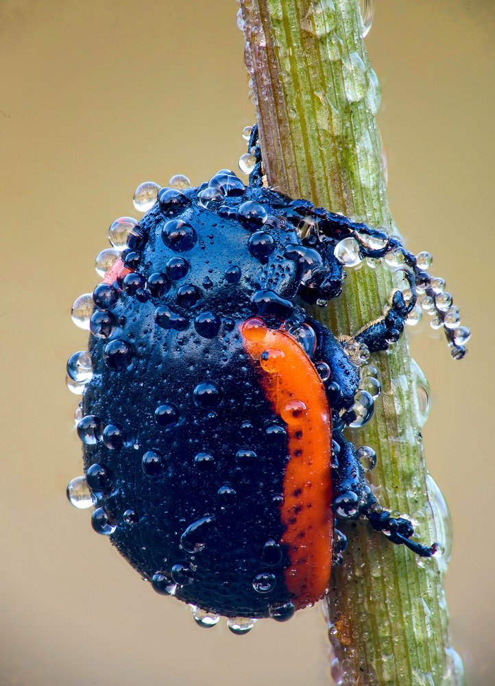 Photograph by Сергей Рубан