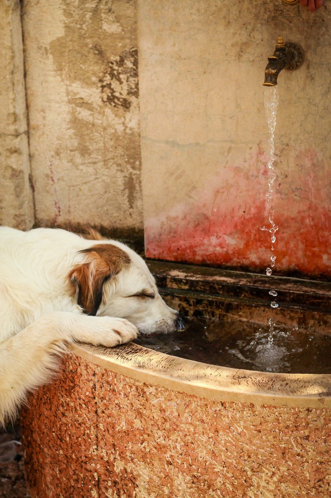 Photograph by Miljana Dobricinac