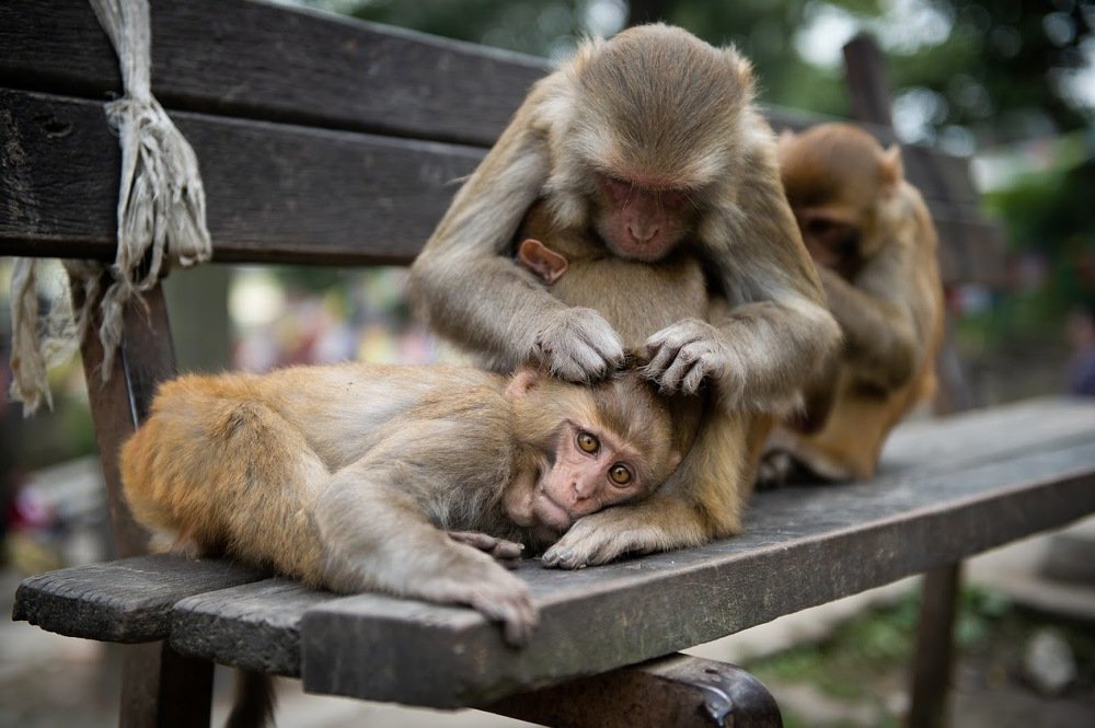 Photograph by Надежда Стецова