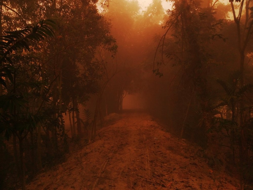 Photograph by Md Abu Sayeed Mondal