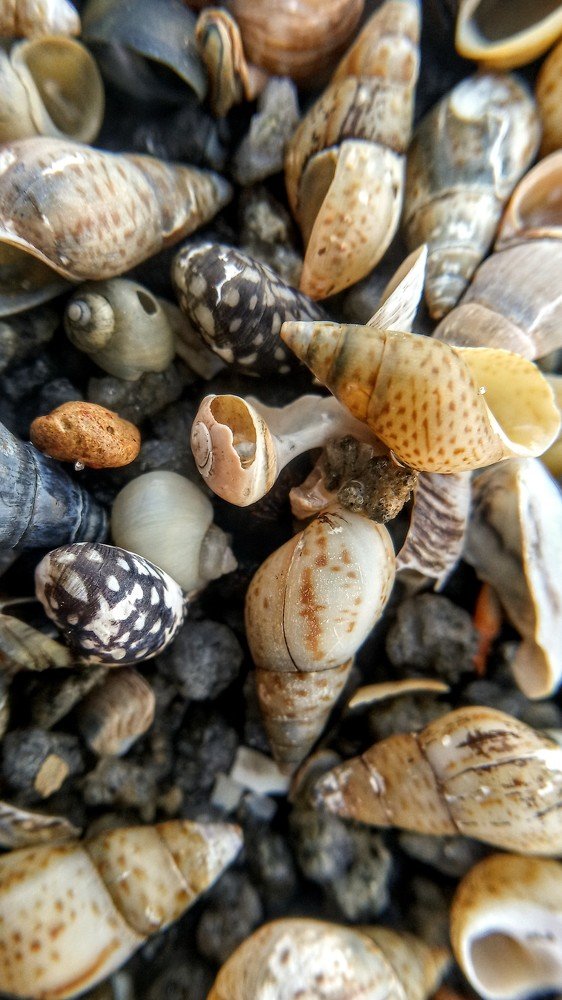 Photograph by Алексей Митницкий