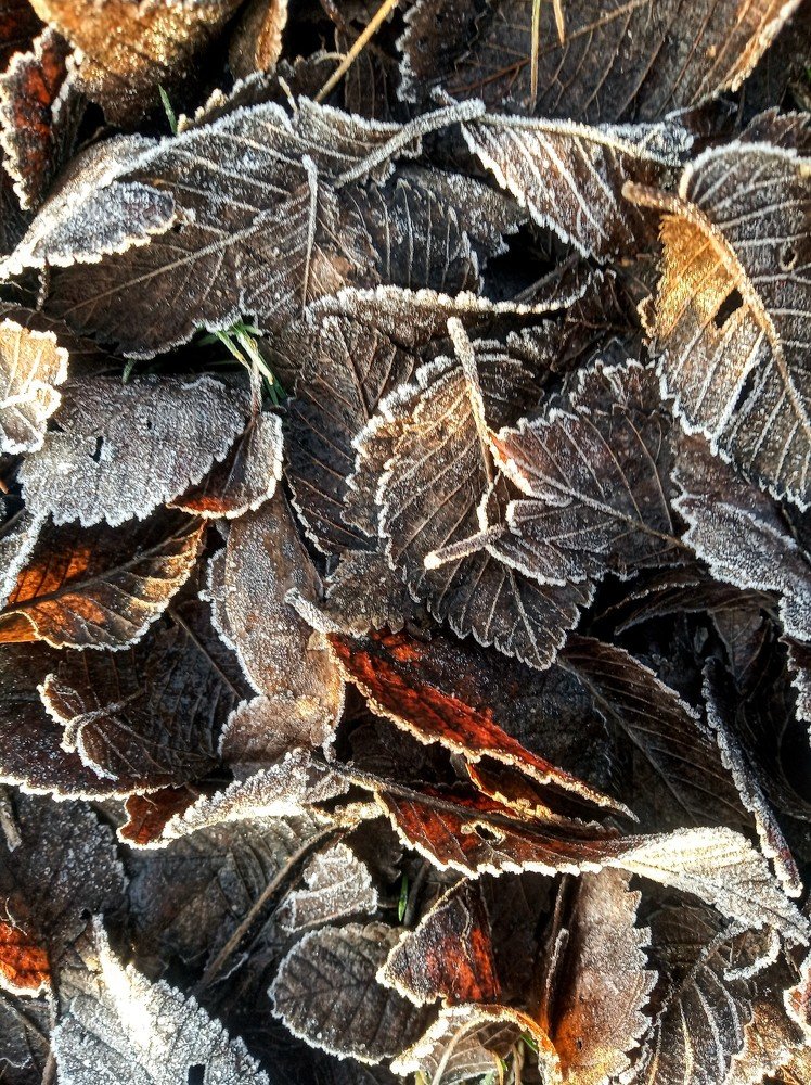 Photograph by Алексей Митницкий