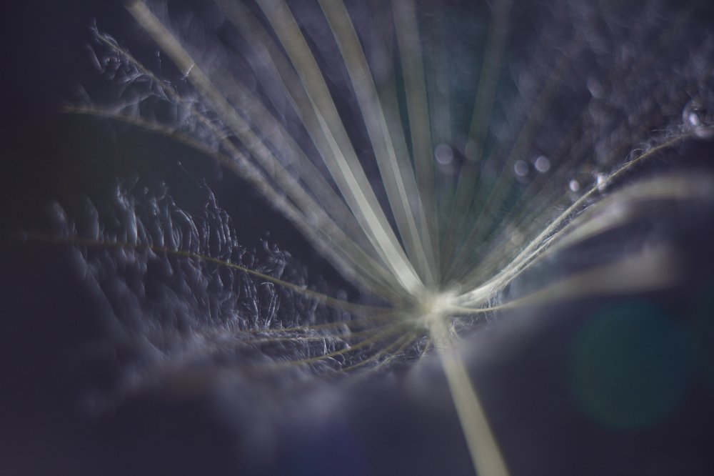 Фотография автора Дарья Воронина