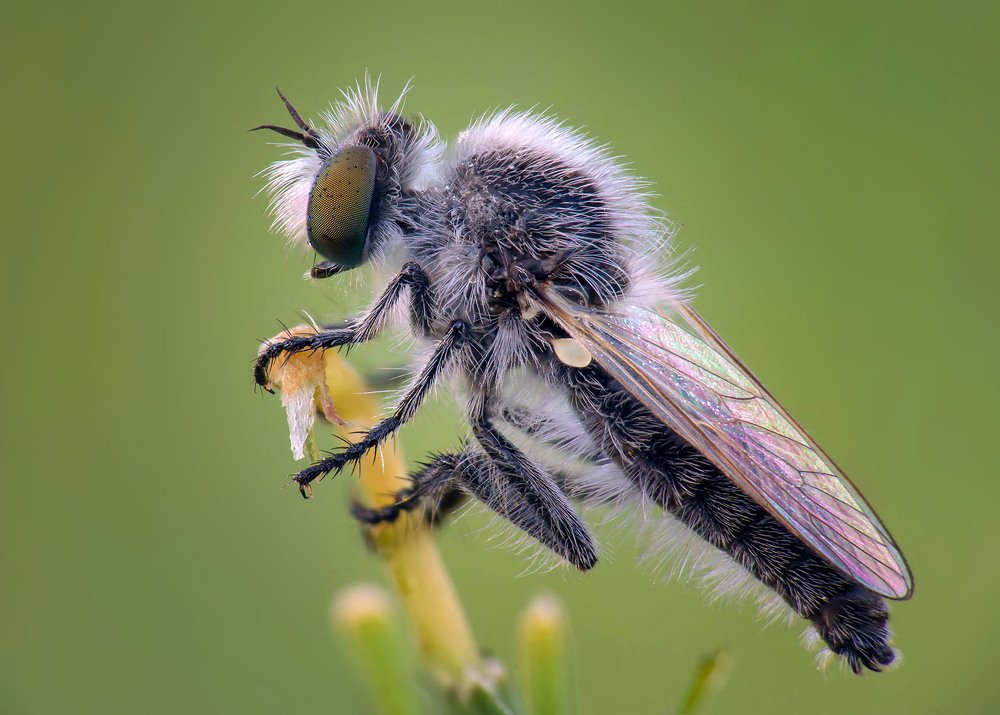 Photograph by Сергей Рубан