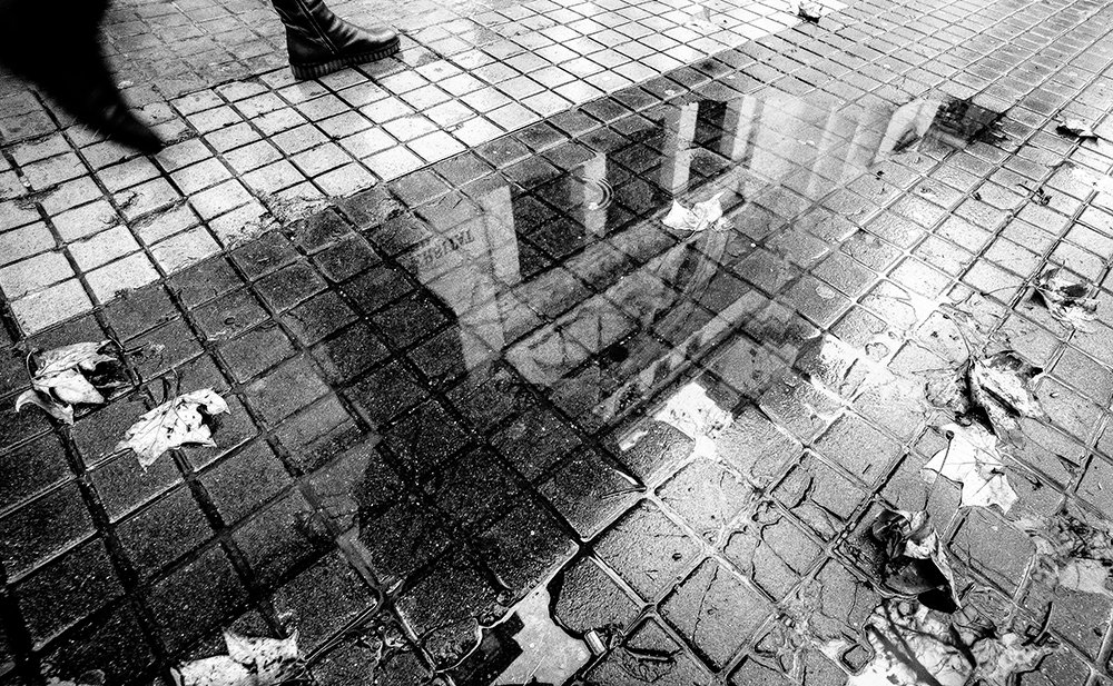 Photograph by Ángel Ros