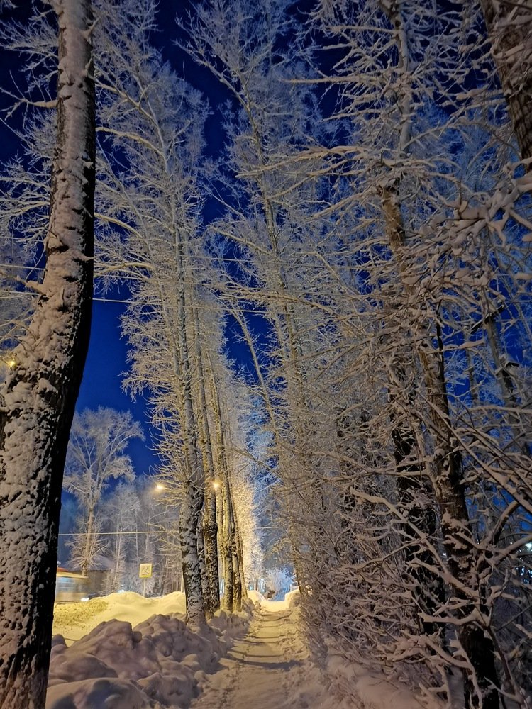 Photograph by Мария Григорьева