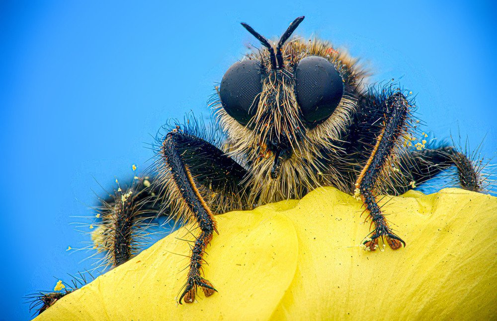 Photograph by Сергей Рубан