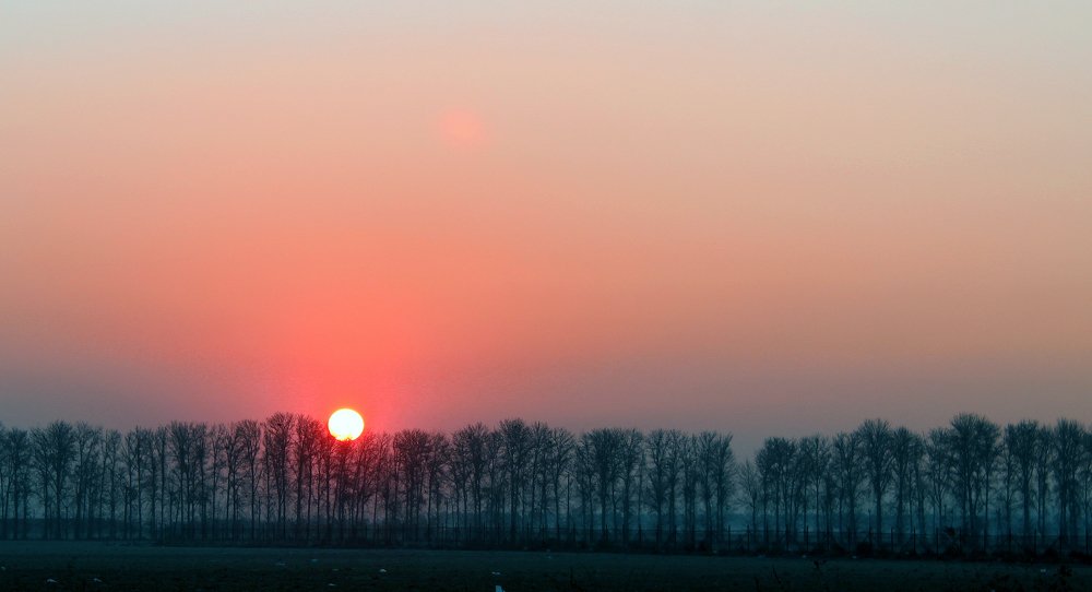 Photograph by davoud razian