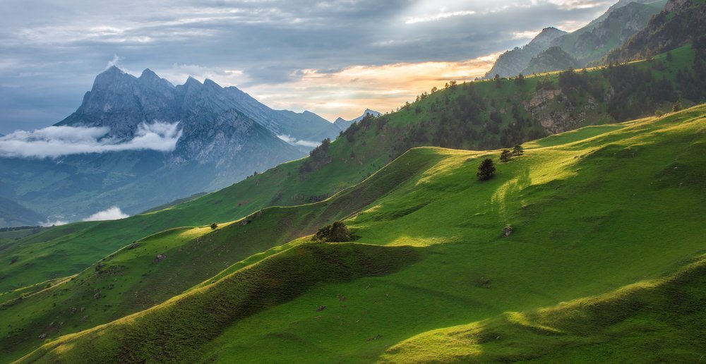 Photograph by Сокол Николай