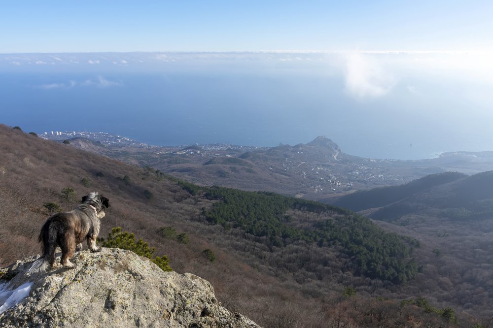 Photograph by Руслан