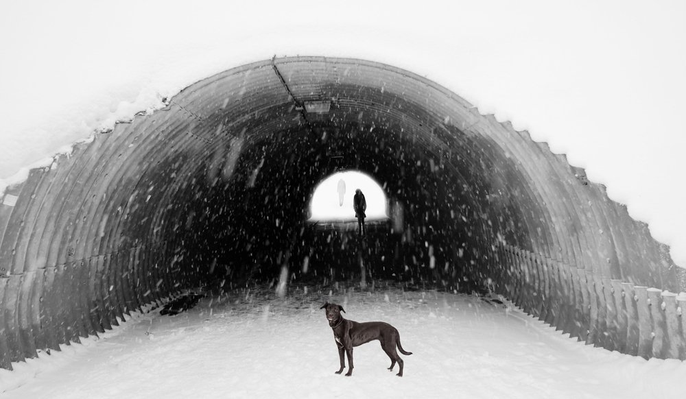 Photograph by Александр Мосин