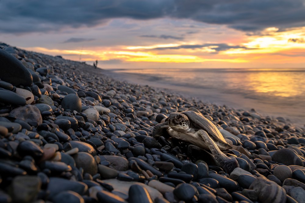 Photograph by Mina Christos