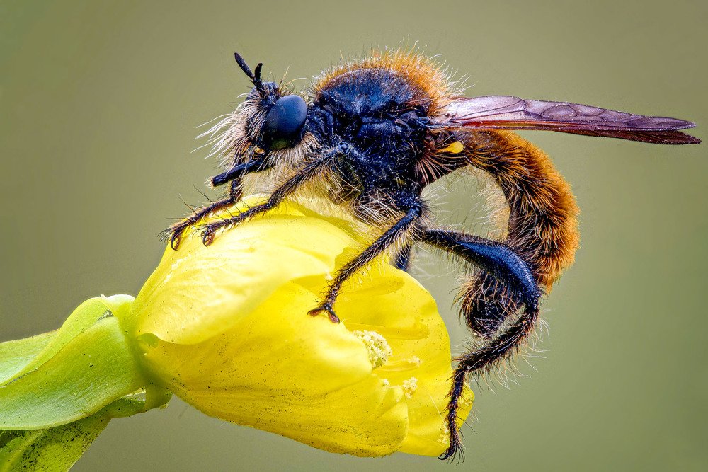 Photograph by Сергей Рубан