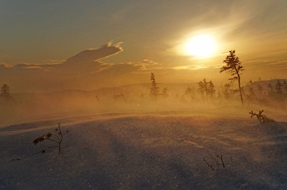 Photograph by Ирина Щеглова