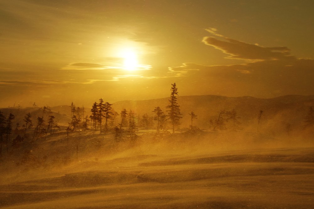 Photograph by Ирина Щеглова