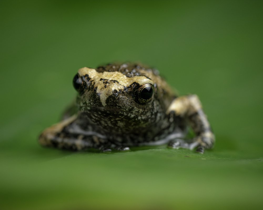 Photograph by Reynante Martinez