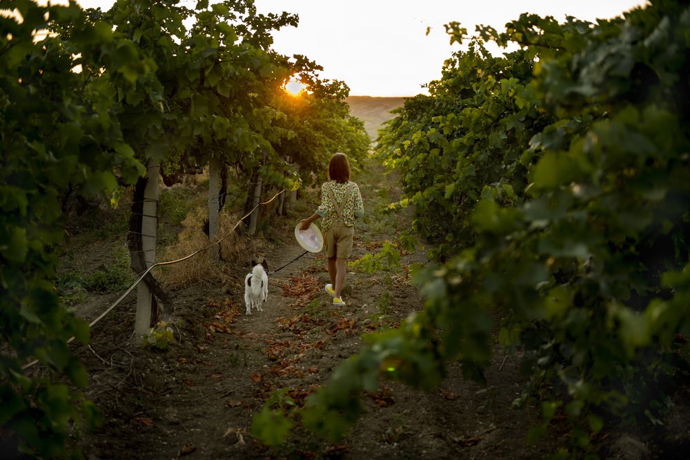 Photograph by Василиса Расин