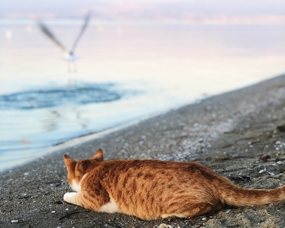 Photograph by Екатерина Фокина