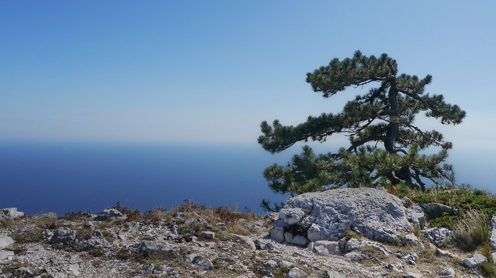 Photograph by прохор шаляпин