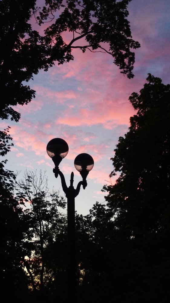 Розовый вечер