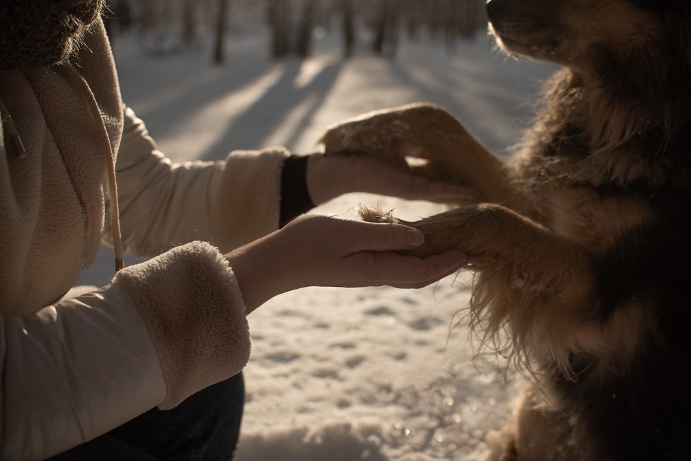 Photograph by Юлия Суханова