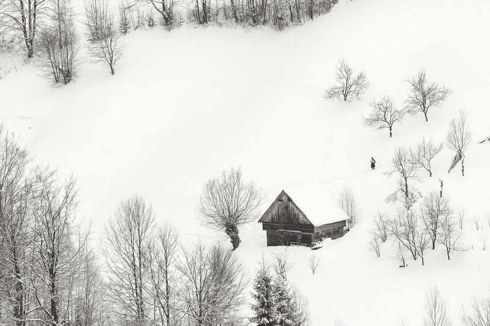 Photograph by Alex Coman