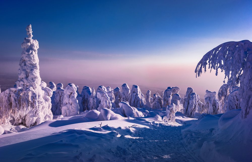 Photograph by Andrey Chuntomov