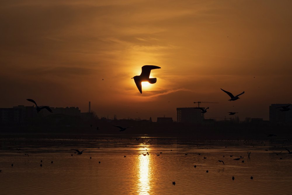 Photograph by George Sorin